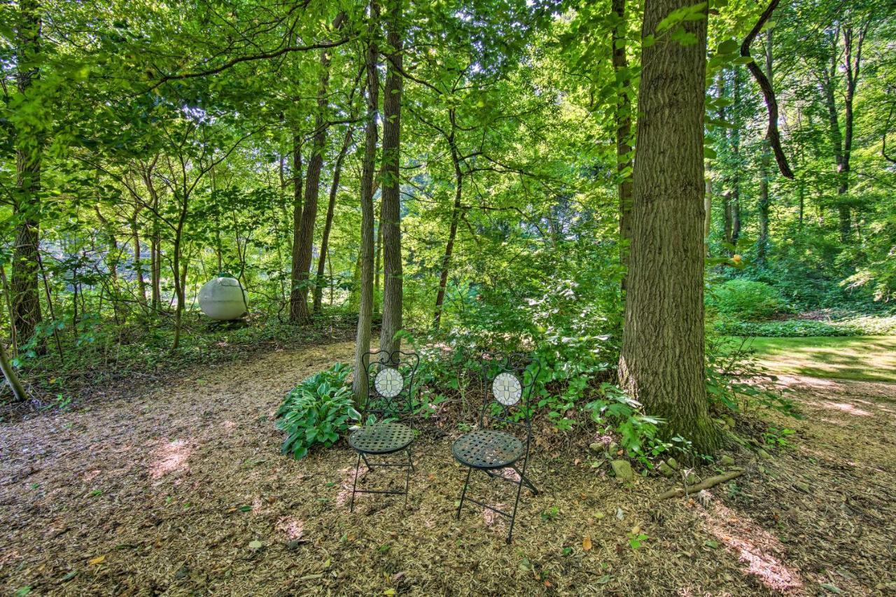 Cozy Garden In Welsh Mountain Suites! New Holland