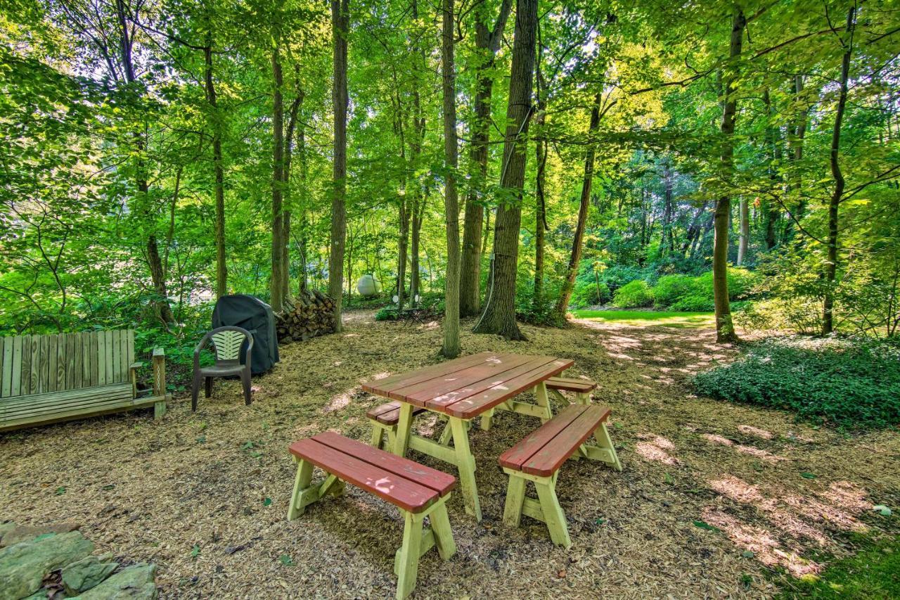 Cozy Garden In Welsh Mountain Suites!